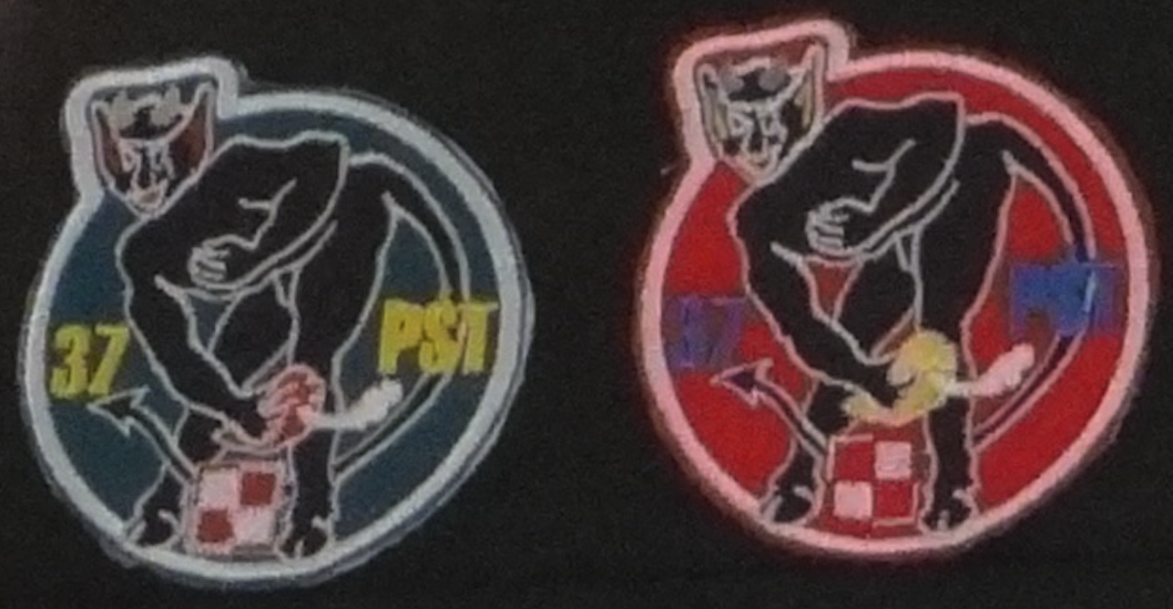 Emblem of the 37th PŚT. 2020 year. Photo by Karol Placha Hetman