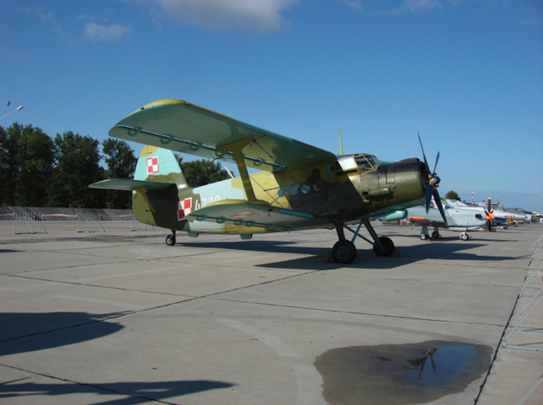 PZL An-2 nb 4720 nr 1G14720. 2008 rok. Zdjęcie Karol Placha Hetman