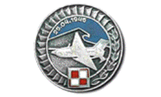 Unit Emblem. Photo by Grzegorz Klimasiński