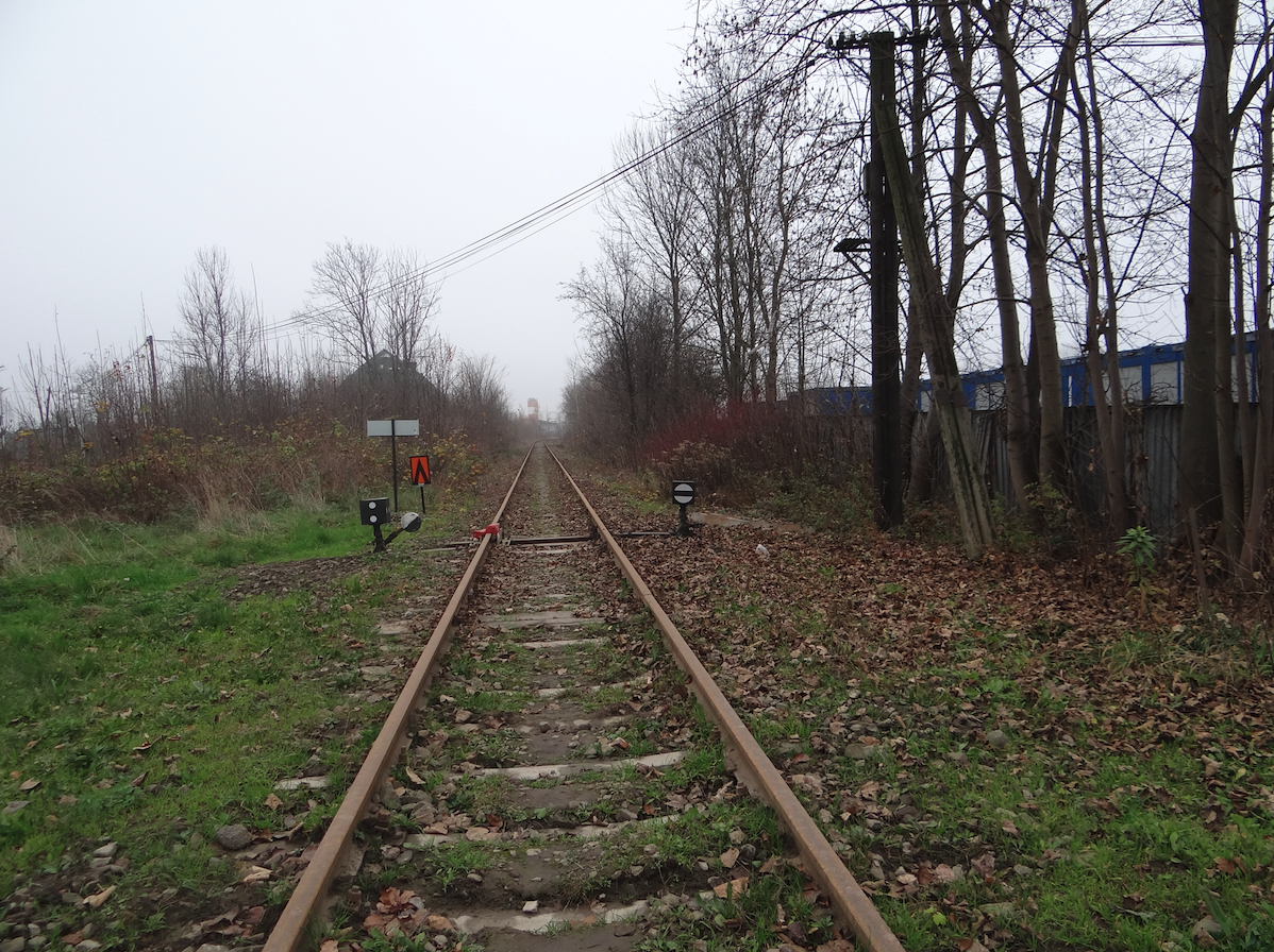 Tor kolejowy w kierunku Krakowa. 2014 rok. Zdjęcie Karol Placha Hetman