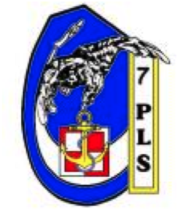 Emblem of the 7th Air Regiment - Navy.