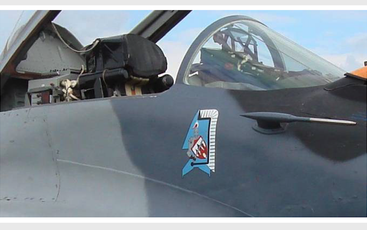 Emblem of the 41st ELT on the MiG-29 aircraft. 2010 year. Photo by Karol Placha Hetman