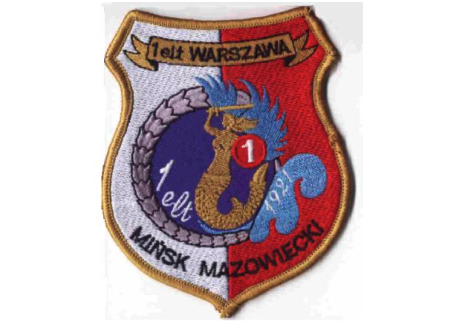 Godło 1 Eskadry Lotnictwa Taktycznego „Warszawa”. Zdjęcie Karol Placha Hetman