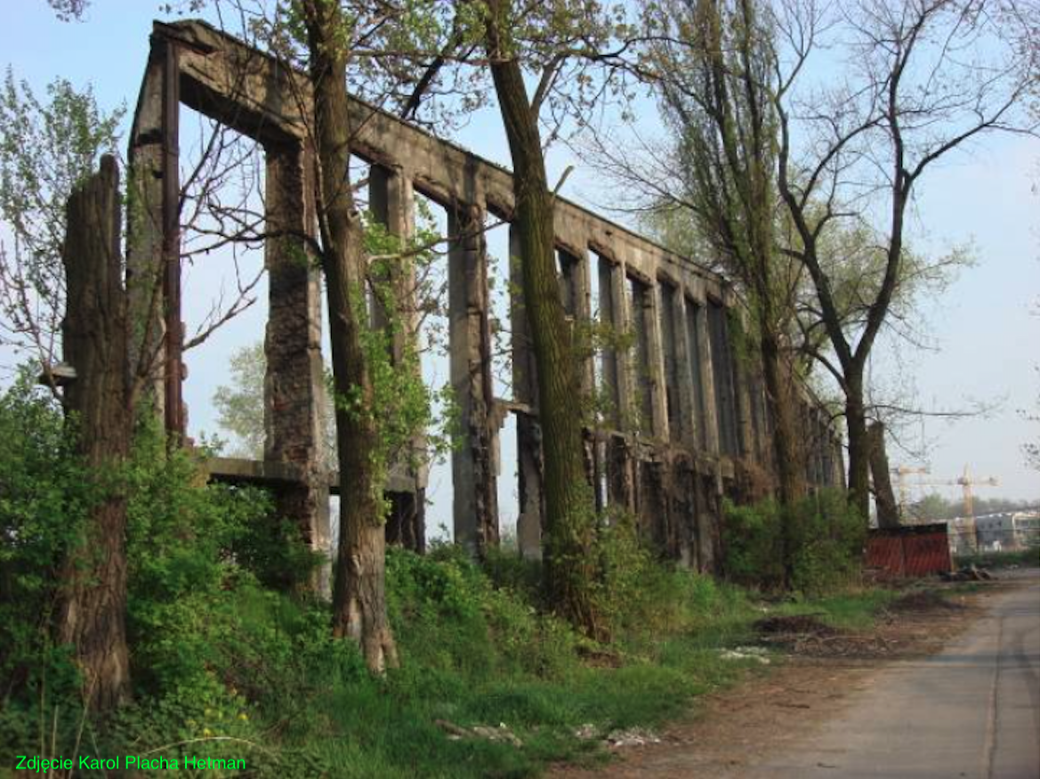 Jeden z hangarów typu Stelli-Sawickiego. 2009 rok. Zdjęcie Karol Placha Hetman