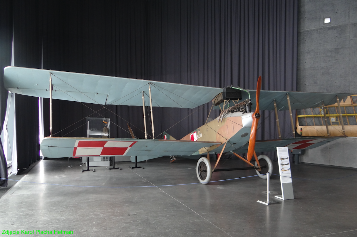 Albatros B.II-a. 2018 rok. Zdjęcie Karol Placha Hetman