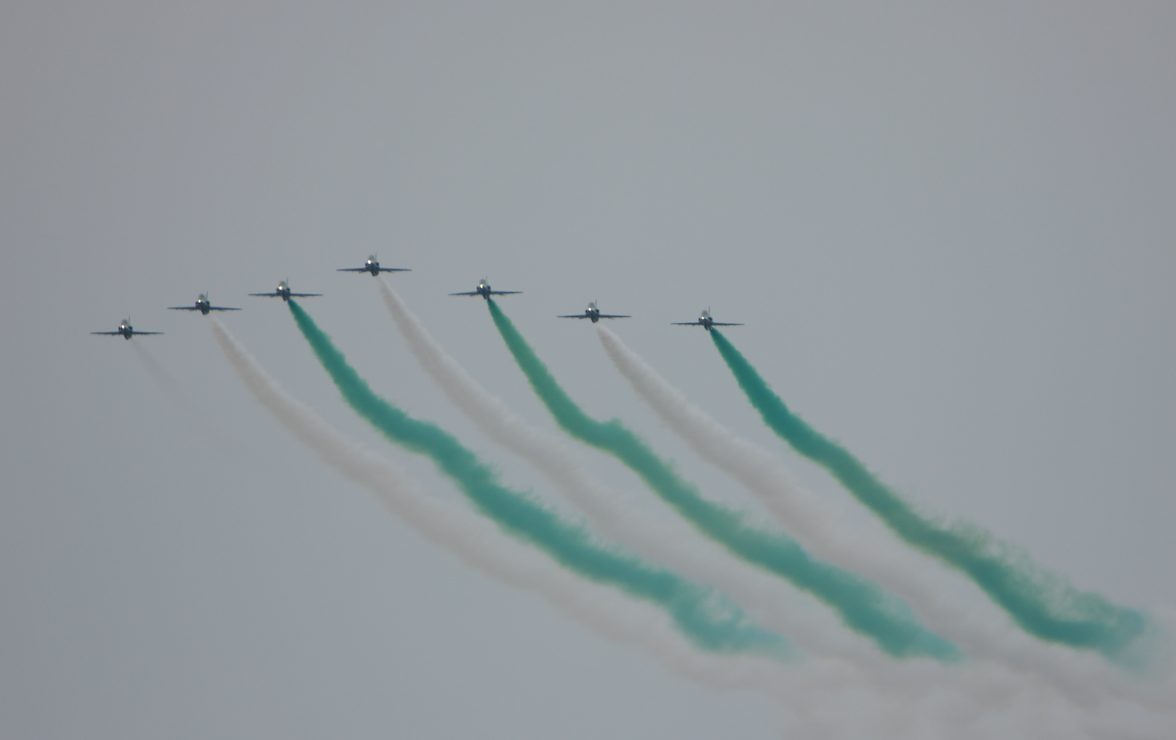 Saudi Arabia. Hawk. Babie Doły 2019. Photo by Waldemar Kiebzak