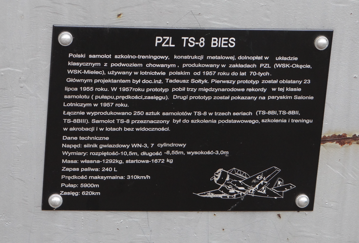 TS-8 Bies nb 0627. 2019 rok. Zdjęcie Karol Placha Hetman