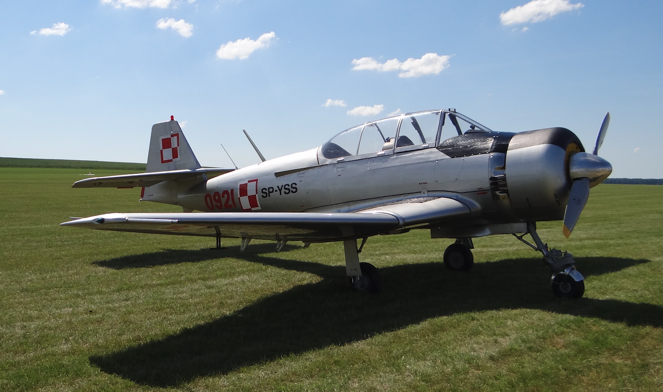 TS-8 Bies. 2017 rok. Zdjęcie Karol Placha Hetman