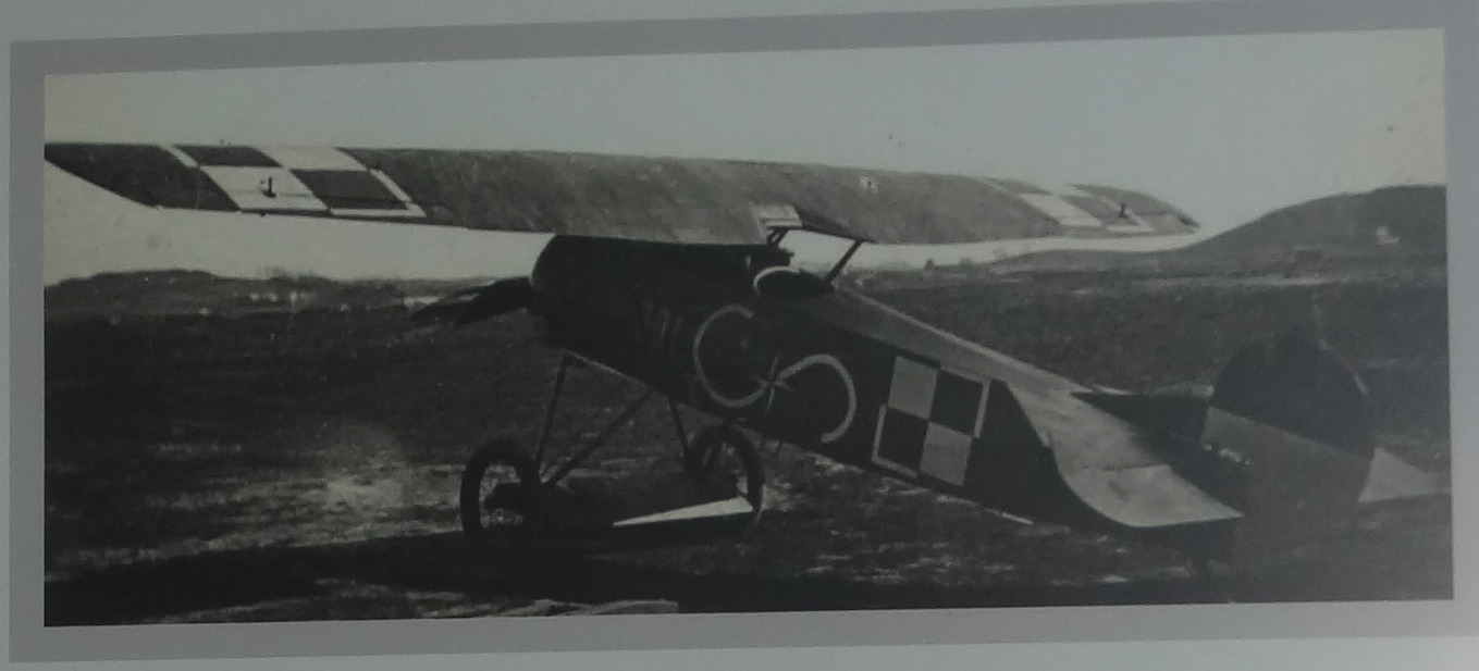 Fokker E.V. (D.VIII). 2017 rok. Zdjęcie Karol Placha Hetman