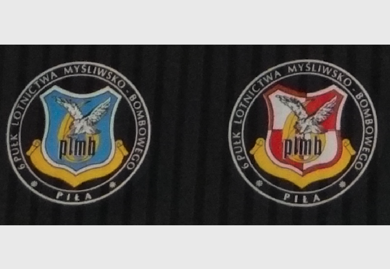 6 PLM-B Emblem of the regiment