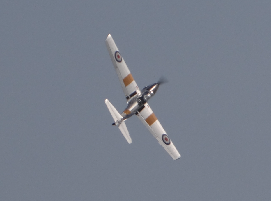 Chipmunk. Rzeszów 2019 rok. Zdjęcie Karol Placha Hetman