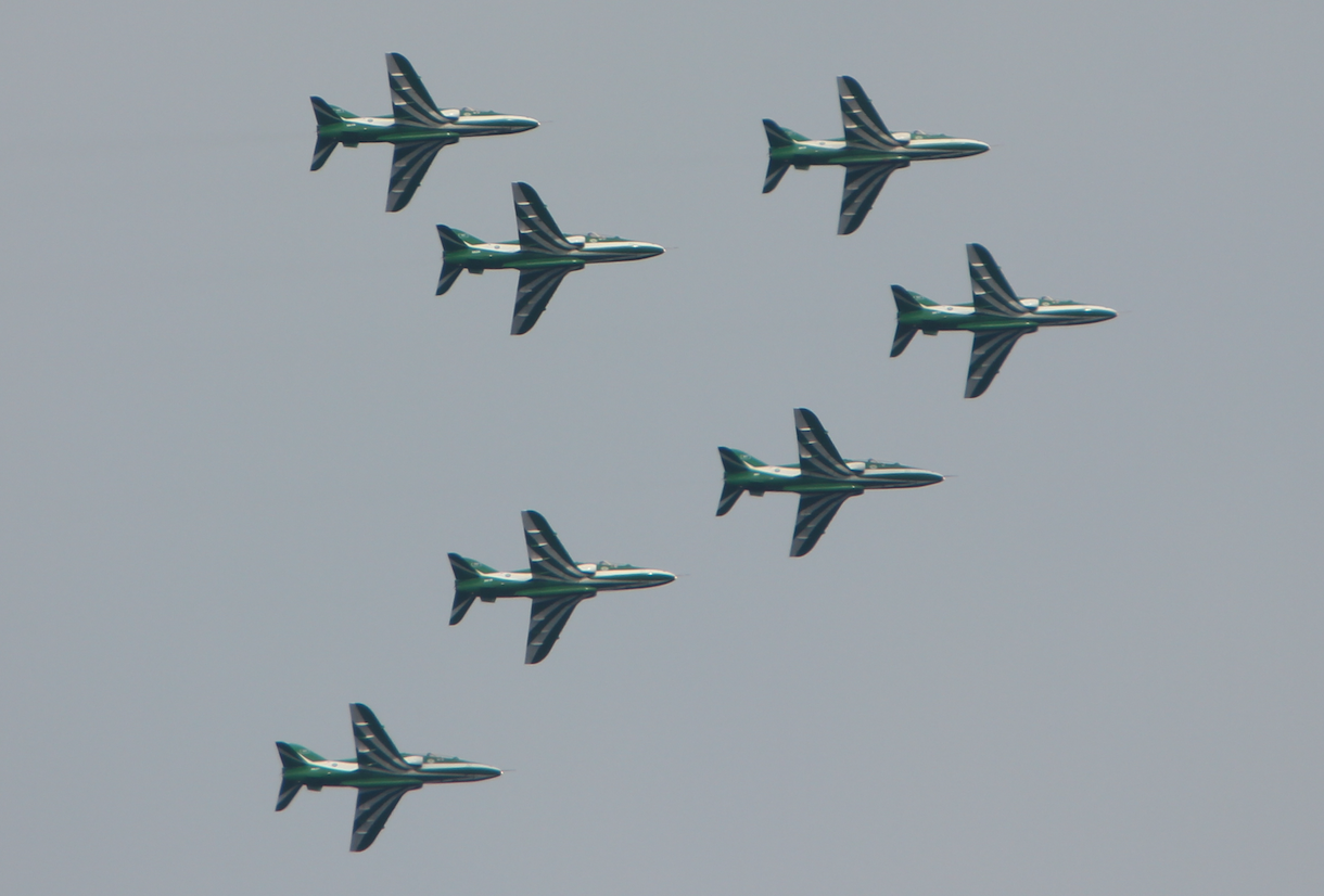 Saudi Arabia. Hawk. Babie Doły 2019. Photo by Waldemar Kiebzak