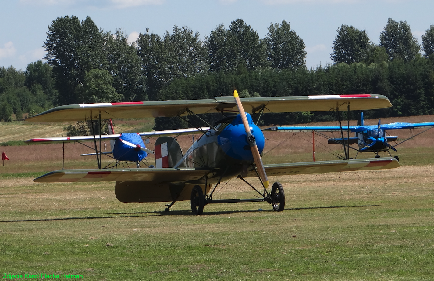 Albatros D.III nb 3. 7. Eskadra Myśliwska. 2023 rok. Zdjęcie Karol Placha Hetman