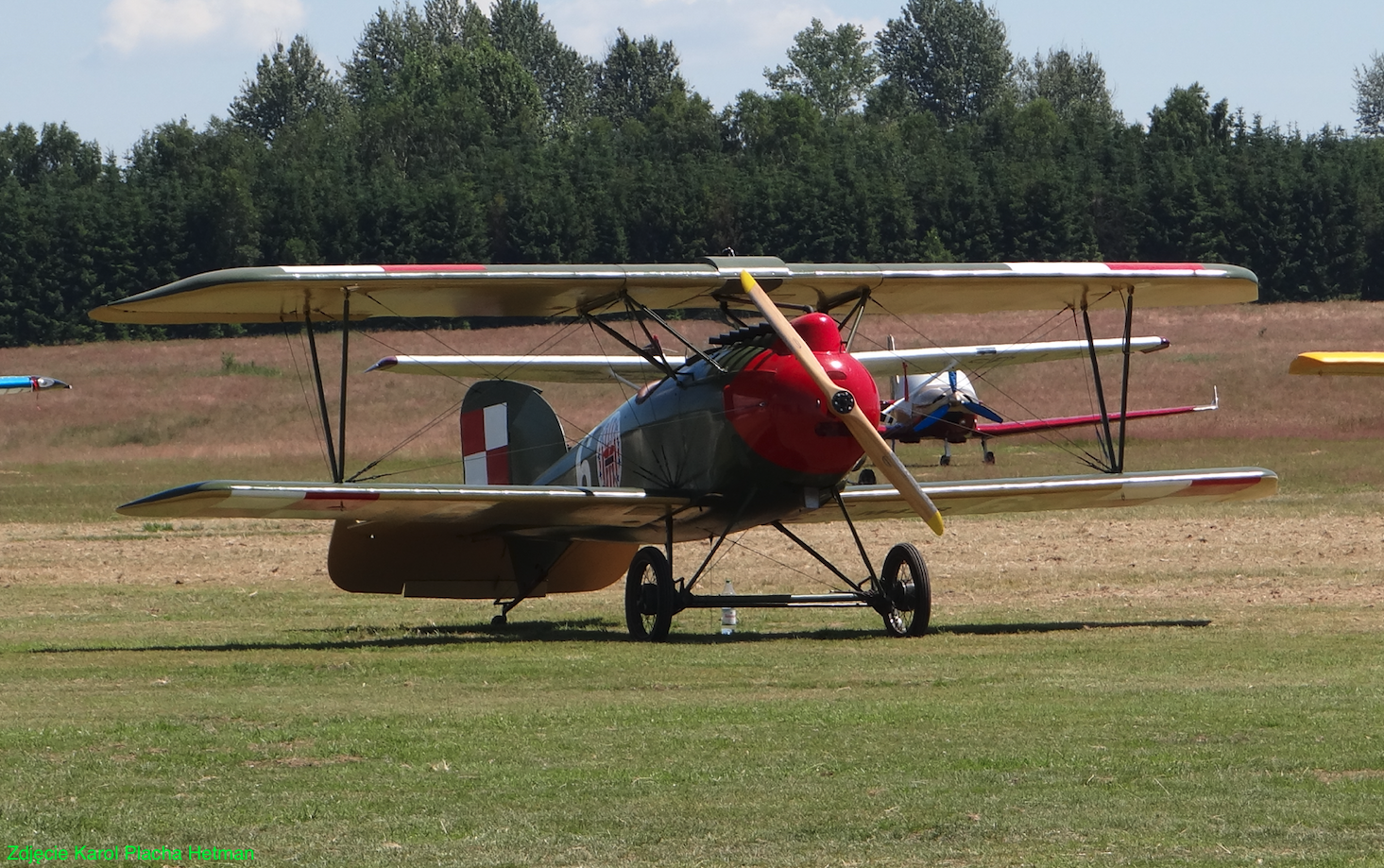 Albatros D.III nb 6. 7th Fighter Squadron. 2023 year. Photo by Karol Placha Hetman