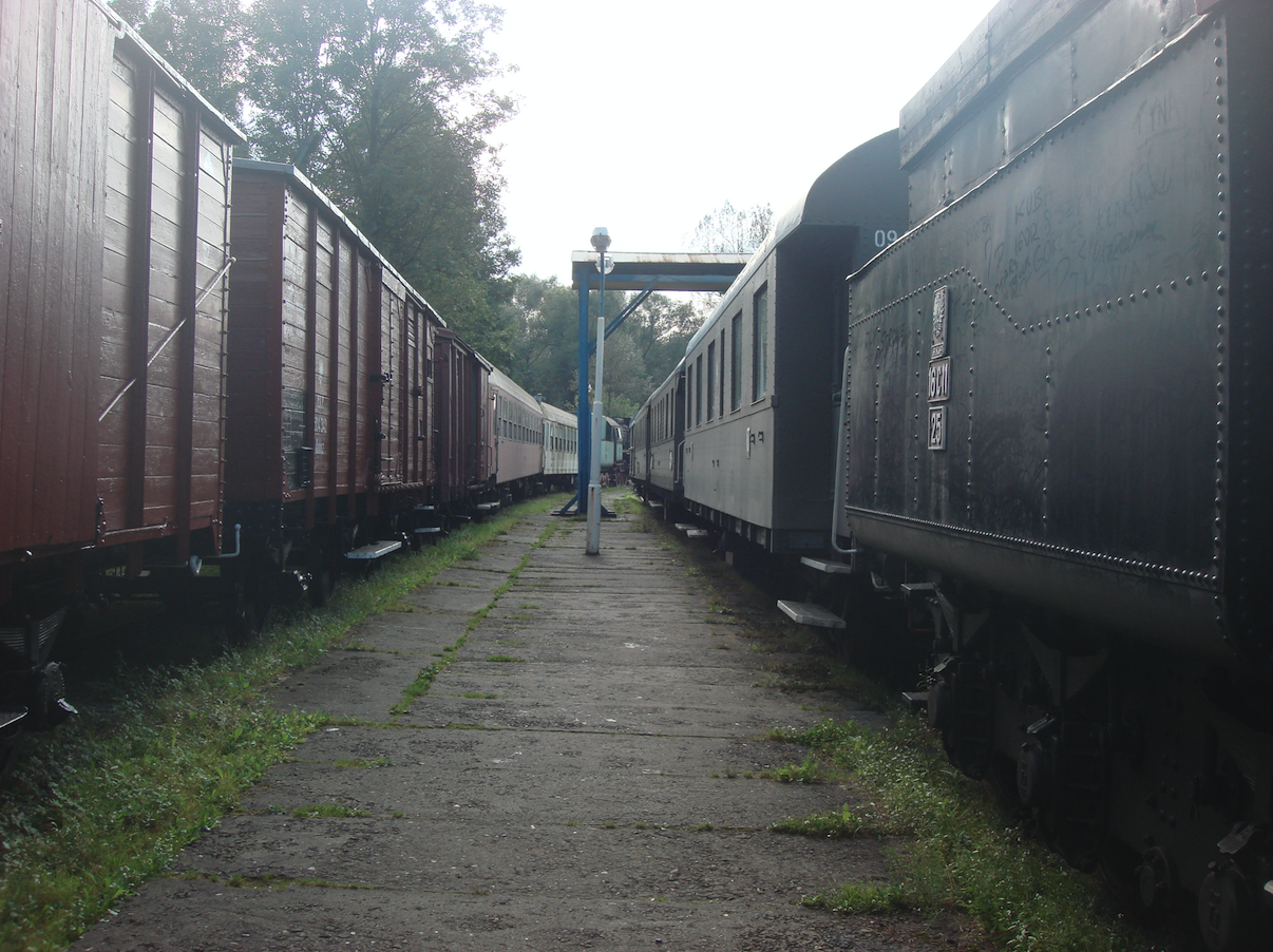 Trains with steam traction. 2011 year. Photo by Karol Placha Hetman