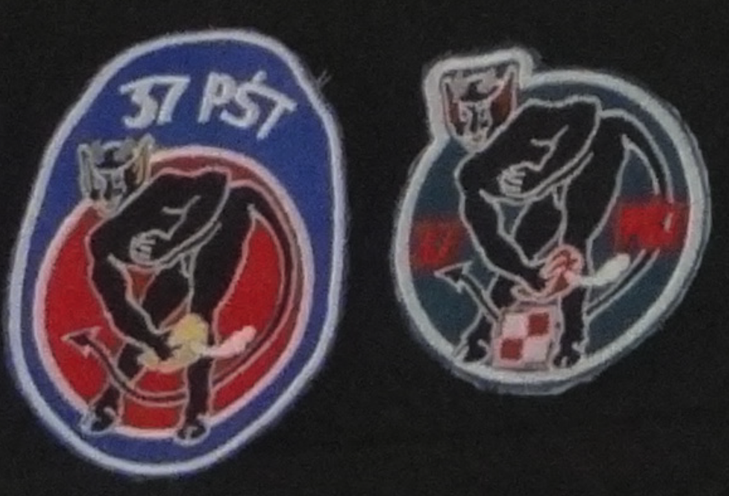 Emblem of the 37th PŚT. 2020 year. Photo by Karol Placha Hetman