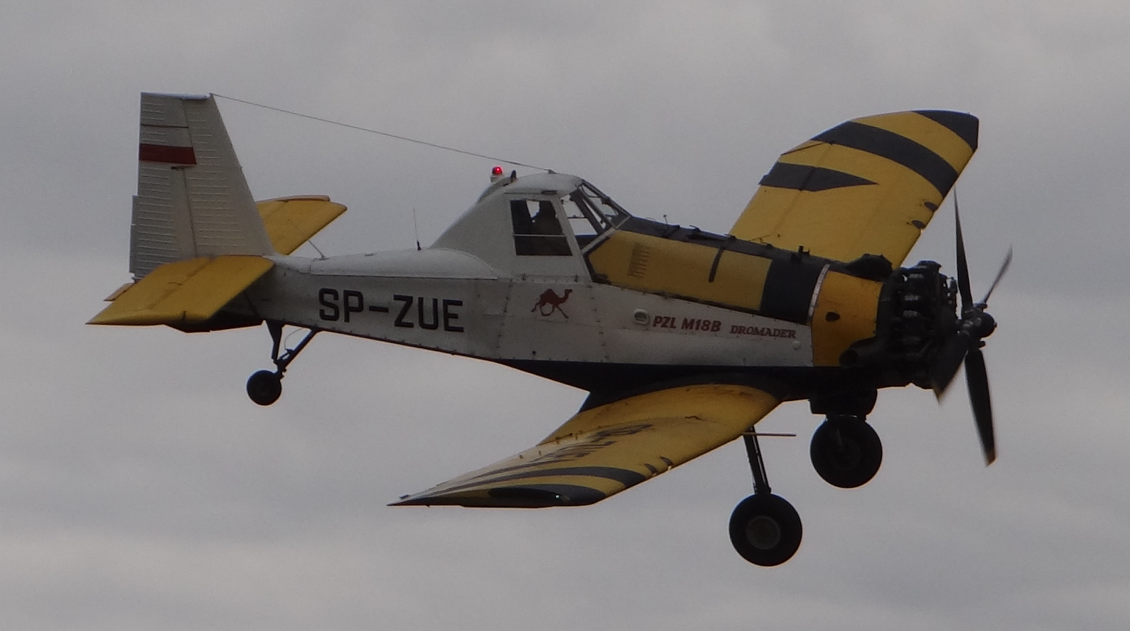 PZL M-18 Dromader SP-ZUE. 2018 rok. Zdjęcie Karol Placha Hetman