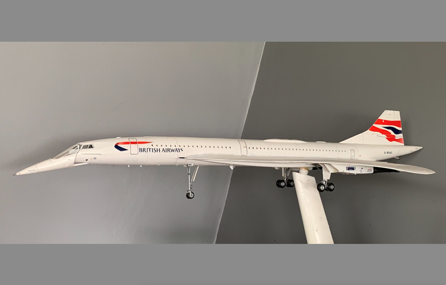 Concorde. 2020 year. Photo by Karol Placha Hetman